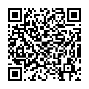 秦方的这个理由至少比刚才那个新手的理由要靠谱的多了二维码生成