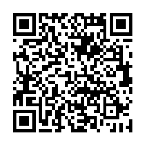 秦方的那群黑羽卫朋友全都嘻嘻哈哈的朝苏落聚拢过来二维码生成