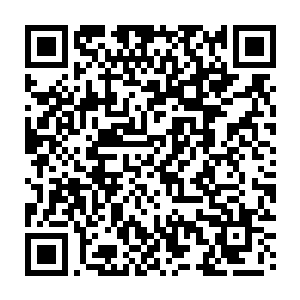 秦方直接将自己手中的主要战力全部都释放了出来……宋毅等人把守外围二维码生成