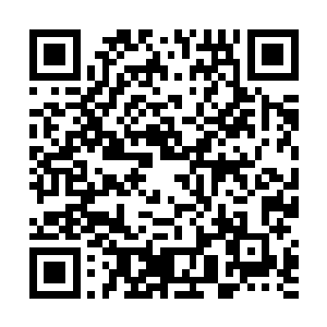 秦方看到梁医生看到自己的血液样本报告就愣在那里了二维码生成