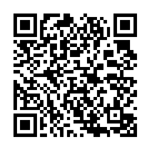 秦方看向这一只准灵兽的眼神才会变得如此诡异的二维码生成