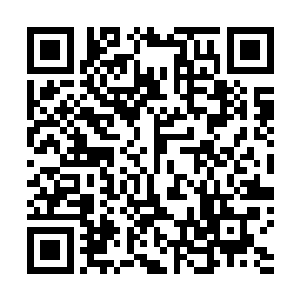 秦方真的怕自己忍不住灭了这种修炼了邪道秘法的妖孽了二维码生成