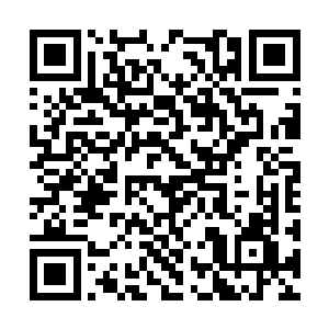 秦方确实是以自身的内息强行将体内的血液逼出来二维码生成