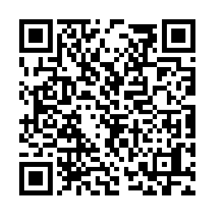 秦方示意了那躺在那里等待救援的倒霉鬼大哥说道二维码生成