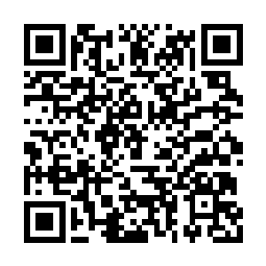 秦方立即感应到了自己被烈焰魔虎的元神锁定了二维码生成