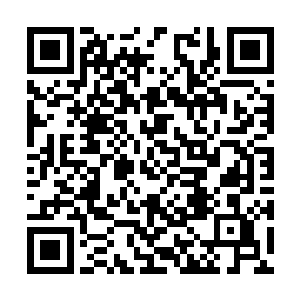 秦方简单的查看了一下这套公寓及周围的一些房间二维码生成