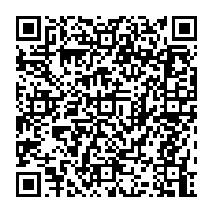 秦方紧皱的眉头略微有了些许舒展……虽然依旧没有找寻到圣子彼得那近乎无解的实力的漏洞二维码生成