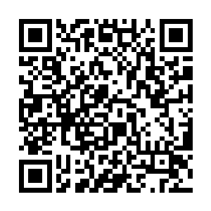 秦方自己也很诧异自己怎么会变成如此霸道而强势的二维码生成
