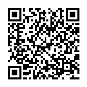 秦方自然也是以逸待劳的爆发出了一股狂暴的力量二维码生成