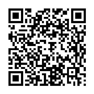 秦方自然是不太清楚的……不过当阮有林退下来之后二维码生成