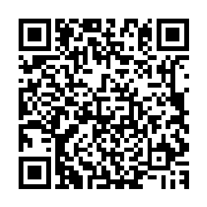 秦方若是看到的话肯定就知道这两位便是赫赫有名的暗影蝰蛇二维码生成