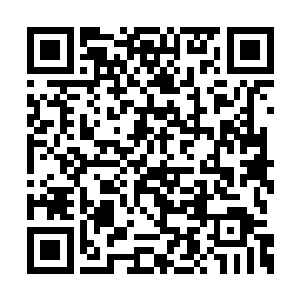 秦方还是觉得丢给他们一些忍者令牌当做安慰奖二维码生成