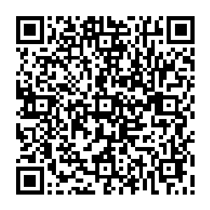 秦方还真的没有什么更好的选择了……除非他愿意留下来喂饱这数百只的吸血黑蜈二维码生成