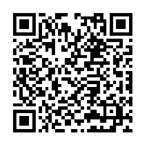 秦方这也是忍不住感叹了一下的……他不需要回头二维码生成