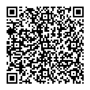 秦方这种元神分裂的痛处已经是变态级别的了……比女人生孩子那种十级痛楚还要更加惨烈十倍二维码生成