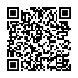 秦方都打算这时候冲上去把这些人全都给砍杀殆尽了……二维码生成