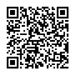 秦方都能够感觉到它们的气息出现了那么片刻的迟滞了……但是二维码生成