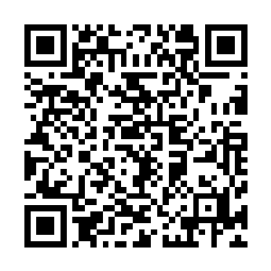 秦方顺手把那一枚冰元素本源晶体也一并包裹在里面了……二维码生成