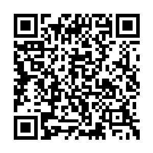 秦月生的秘书知道云冲和老板有重要的事情要谈二维码生成