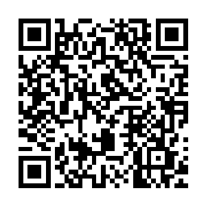 秦林在他们棱角分明特征突出的脸上发现了好几处相同的细节二维码生成