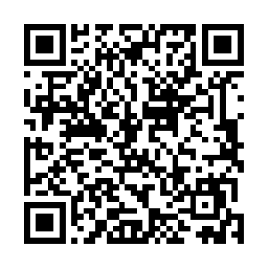 秦林在角度不同的位置找到了另两处淡淡的前掌着地痕迹二维码生成
