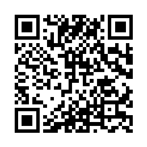 秦林居然真的像老师教学生一样分析二维码生成