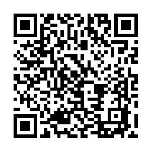 秦林恰恰从尸斑的位置推断尸体并非像王焕说的仰面朝天二维码生成