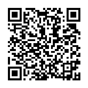 秦林见明智玉子在澳门的交游场上长袖善舞进退自如二维码生成