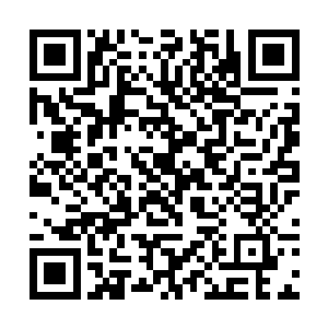 秦桑带着云桃一边处理妖兽一边讲解战斗的不足之地二维码生成