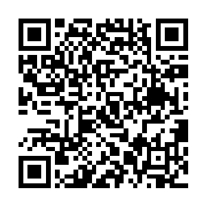 秦梦申在秦家年轻一辈之中已经算是非常出类拔萃的人才了二维码生成
