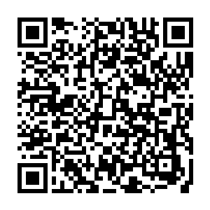 秦母看到傻站在原地不动只是满脸激动的秦宇父子没好气的朝着秦父说道二维码生成