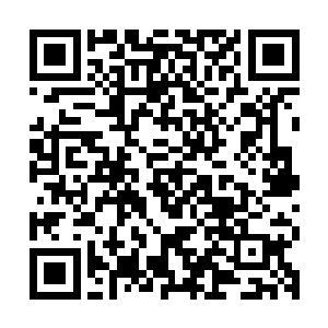 秦洛一进来就把视线放在了宽敞的房间和桌子前面的小老头身上二维码生成