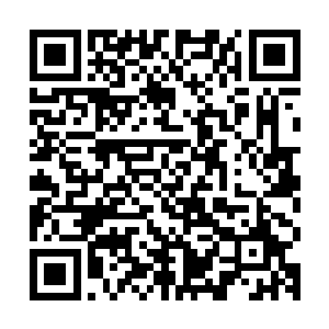 秦洛上次在全聚德烤鸭店看到他和李承铭等人在一起才有此一说二维码生成