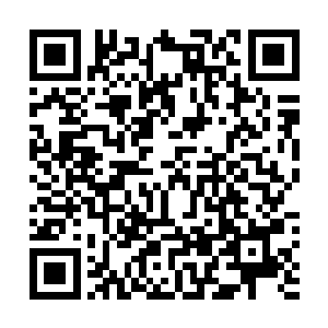 秦洛先跑到商场像是强盗一般的背着这么大一个袋子出来二维码生成