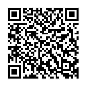 秦洛刚才劝慰龙王的时候突然间脑海里就跳出了这样一个念头二维码生成