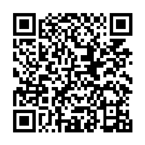秦洛却是多看了两眼这个长相可爱看起来古灵精怪的小姑娘二维码生成