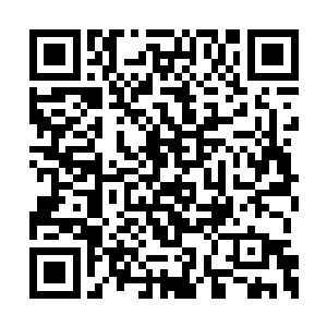 秦洛只是感冒发烧一下他就急急忙忙送来一盒药二维码生成