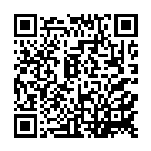 秦洛同学现在确实成了闻人牧月和洛莘攻击彼此的炮弹二维码生成