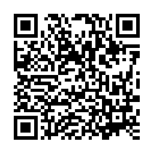 秦洛大多数时候也觉得自己把什么都说出来显得自己挺愚蠢的二维码生成