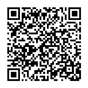 秦洛就看到了蹲在地上的两只小猫――嘉宝像是一只全身乳白的白色小猫二维码生成