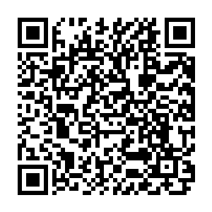 秦洛已经能够看到王九九精致的眉眼和脸上因为水点甩上去出现的一长条脏痕二维码生成