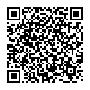 秦洛带着大头和耶稣这一中一外一俊郎逼人一普通木讷的两个保镖走过去二维码生成