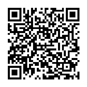 秦洛开始把自己置身于背后那个阴谋家的位置开始思考二维码生成