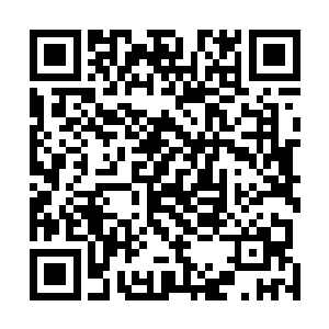 秦洛很想问问傅风雪为何消沉那么多年扮作守门人的原因二维码生成