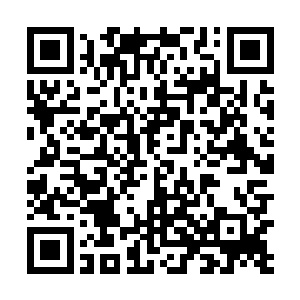 秦洛总不好意思在人家老妈面前说王九九的胸部胖了吧二维码生成