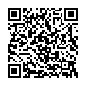秦洛拖着贝贝出现在闻人牧月办公室门口的时候二维码生成