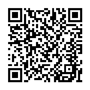 秦洛指着坐在沙发上又抱着一桶酸奶狂喝的红衭二维码生成