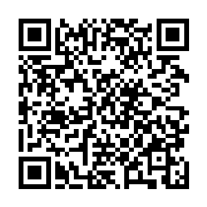 秦洛按照吴霜留给他的地址找到了国际政治学系的教学楼二维码生成
