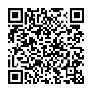 秦洛接过红衭丢过来的白色小药丸和着矿泉水吞咽下去二维码生成