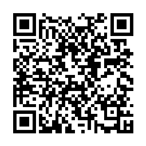 秦洛每次说出去交流切磋的时候都是搞得危险万分二维码生成